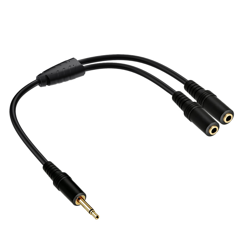 3.5mm TS Mono Male To Dual 3.5 - Cable Extension 3.5 avis et prix